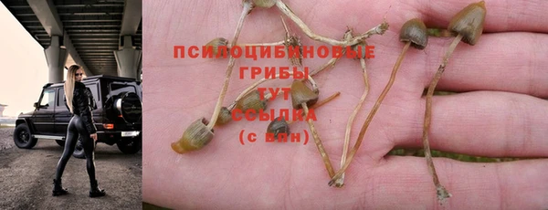эйфоретик Абдулино