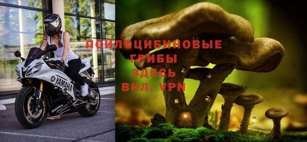 мяу мяу мука Абинск